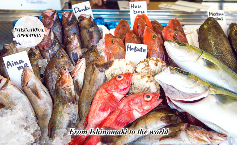 INTERNATIONAL OPERATION It is a quality fresh fish of Ishinomaki to people in the world! "Raw" delivery is possible by an original distribution system.