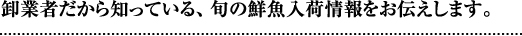 卸業者だから知っている、旬の鮮魚入荷情報をお伝えします。